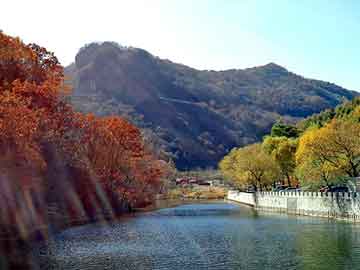 新澳天天开奖资料大全旅游团，大叶女贞产地